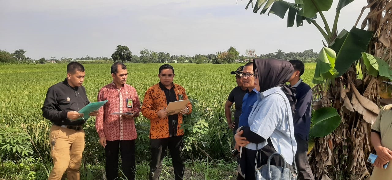 WhatsApp Image 2025 02 07 at 100147 AM